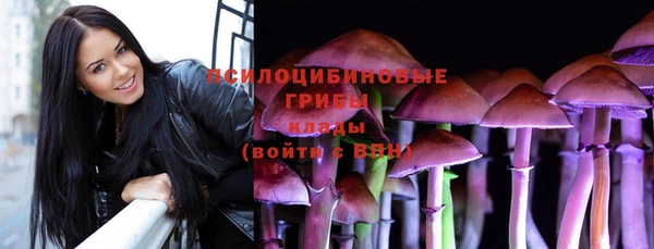 прущие крисы Армянск