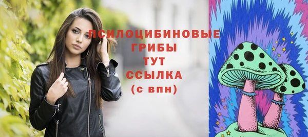 герыч Арсеньев
