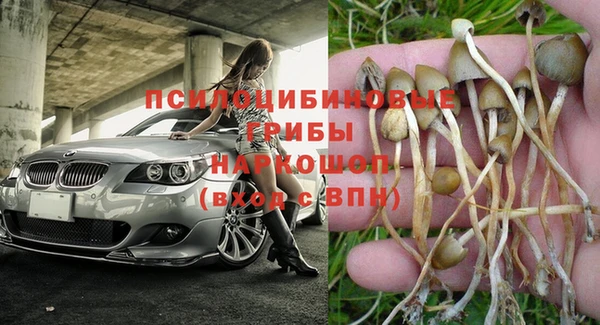 герыч Арсеньев