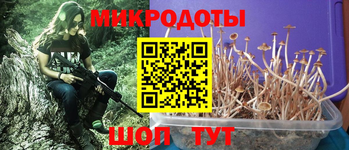 Псилоцибиновые грибы мухоморы  Галлюциногенные грибы ЛСД  Спасск-Дальний  как найти наркотики  Вход с VPN 